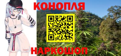 СК Сланцы