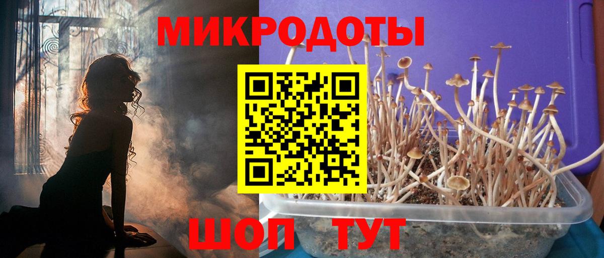 Псилоцибиновые грибы ЛСД Всеволожск