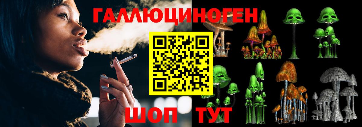 Галлюциногенные грибы MAGIC MUSHROOMS  Вход с VPN  Всеволожск 